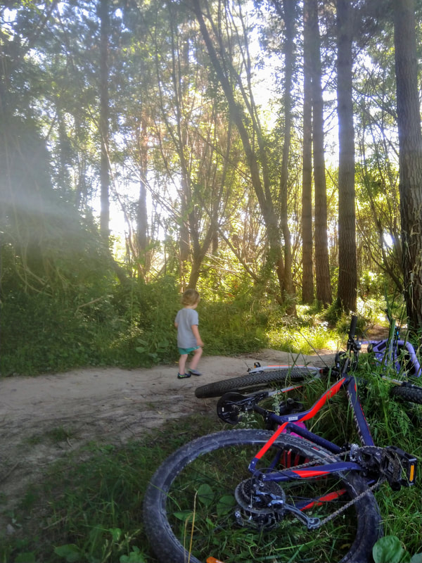 Picture of a small boy walking past a bike that is lying on the ground.  The sun is coming through the trees.